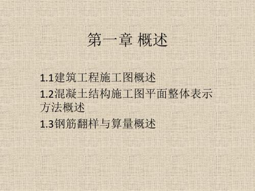 平法识图第一章 概述