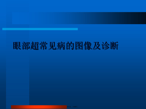 眼部超常见病的图像及诊断