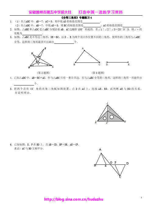 《全等三角形》专题练习4