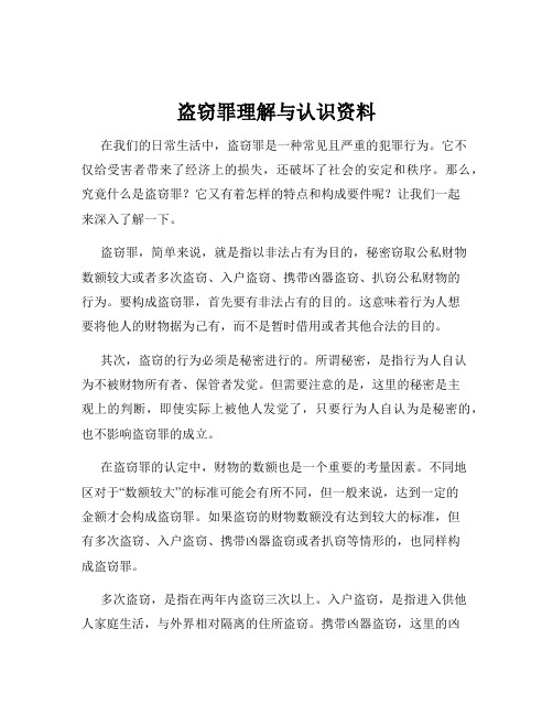 盗窃罪理解与认识资料