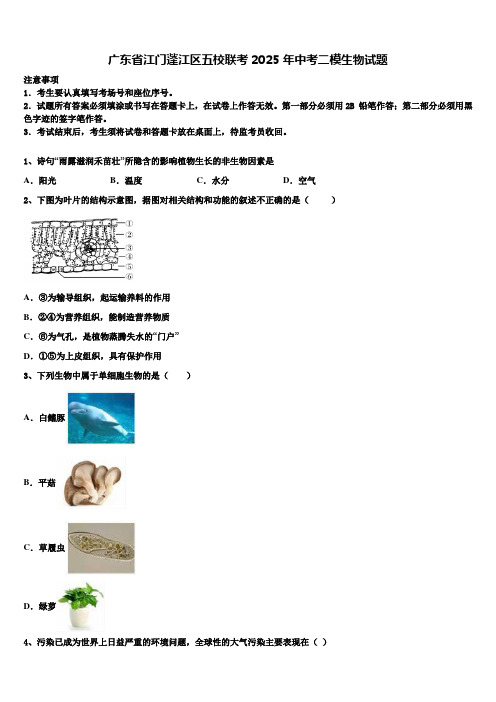 广东省江门蓬江区五校联考2025年中考二模生物试题含解析