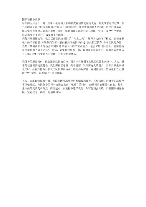 团队精神小故事