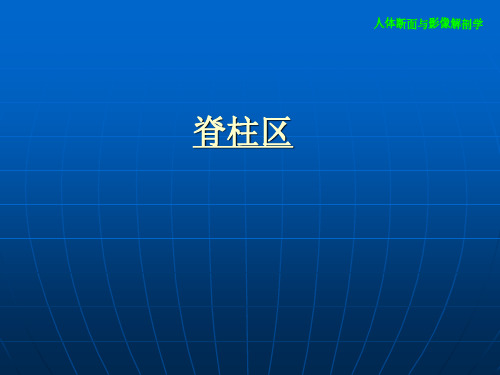 人体断面与影像解剖学(第3版)脊柱区课件