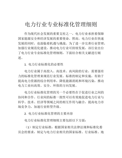 电力行业专业标准化管理细则