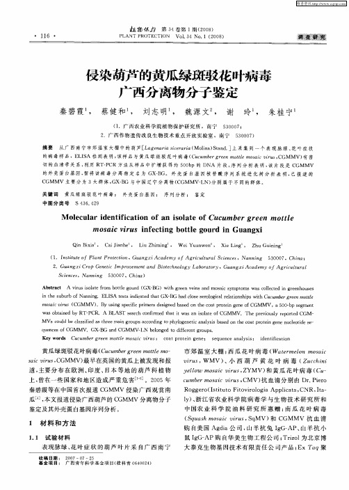 侵染葫芦的黄瓜绿斑驳花叶病毒广西分离物分子鉴定