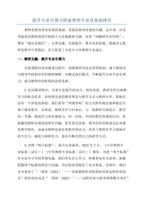 提升专业引领力探索教师专业发展新路径