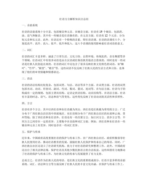 壮语方言解析知识点总结