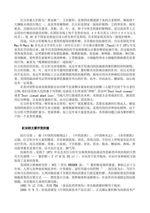 红豆杉的作用