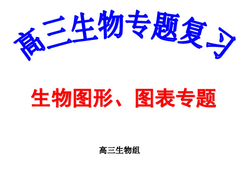 高中生物生物图形、图表专题复习课件