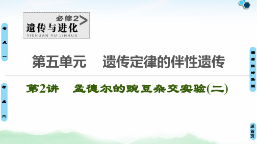 2021届   一轮复习 人教版 孟德尔的豌豆杂交实验(二)  课件(104张)