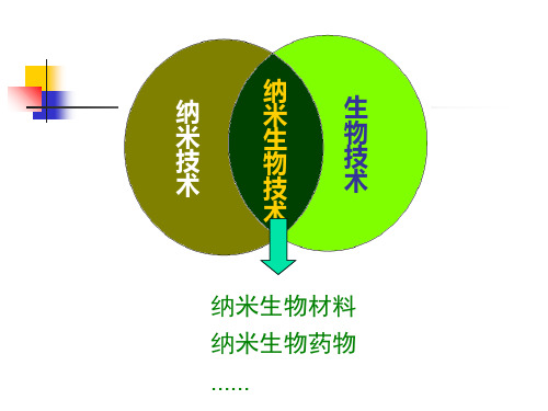 第4章纳米药物载体20100427-课件