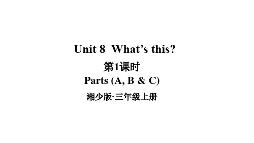 2024秋季新教材湘少版英语三年级上册教学课件：Unit 8What’s this第1课时