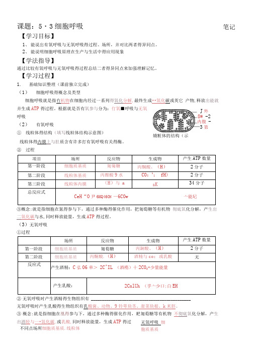 细胞呼吸导学案及答案