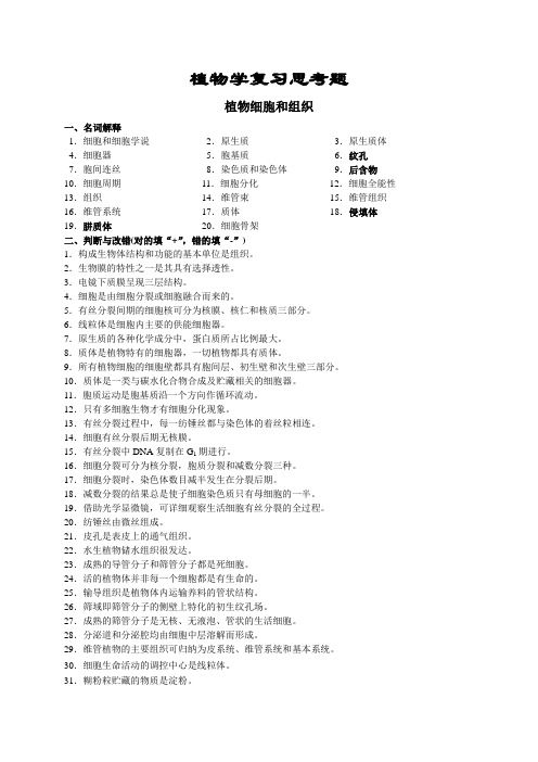 (完整word版)植物学复习试题及答案完整版