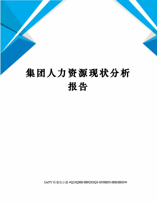 集团人力资源现状分析报告