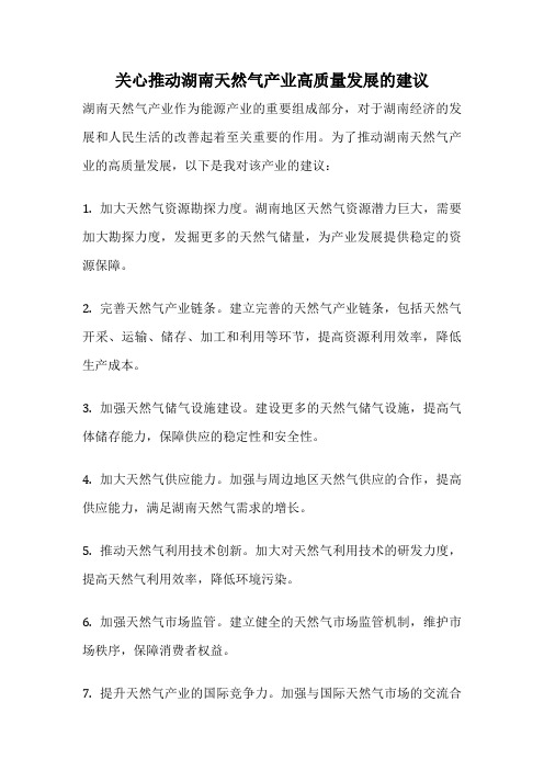 关心推动湖南天然气产业高质量发展的建议