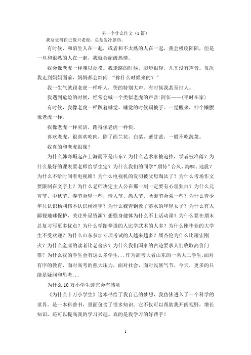 另一个什么作文(5篇)