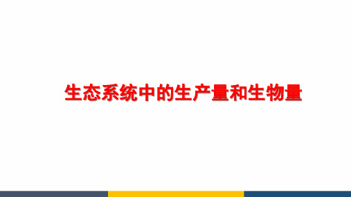 高中生物生态系统中的生产量和生物量精品课件