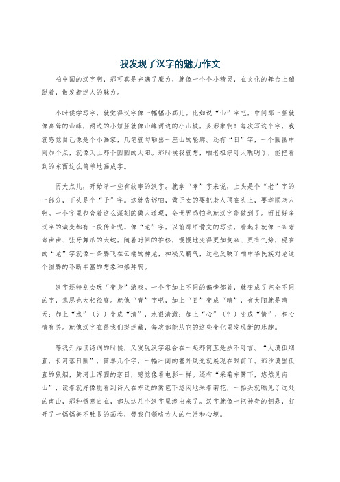 我发现了汉字的魅力作文