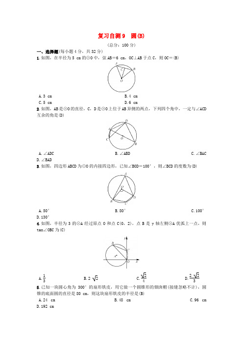 (安徽专版)九年级数学下册复习自测9圆B习题(新版)沪科版