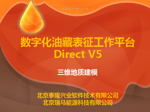 Direct V5.0三维地质建模讲解学习