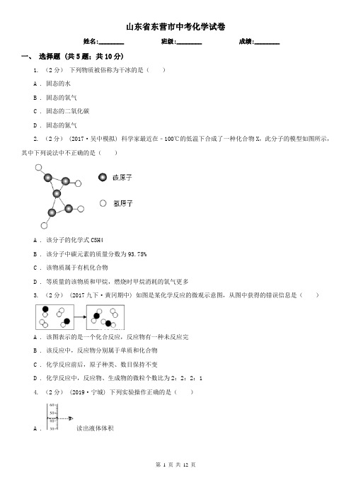 山东省东营市中考化学试卷