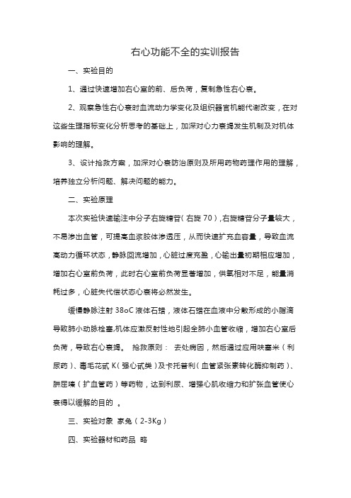 右心功能不全的实训报告