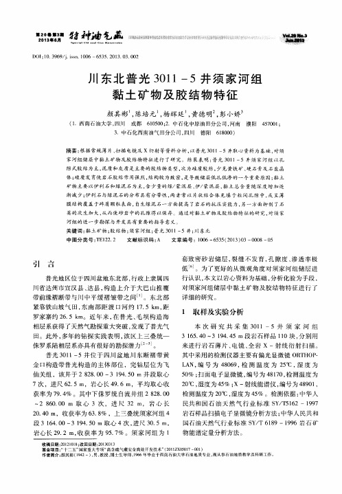 川东北普光3011-5井须家河组黏土矿物及胶结物特征