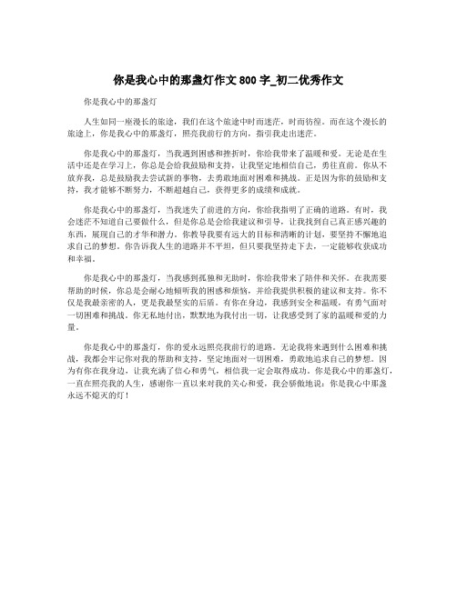 你是我心中的那盏灯作文800字_初二优秀作文