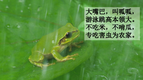 二年级下册语文课件-21 青蛙卖泥塘 (共69张PPT)部编版