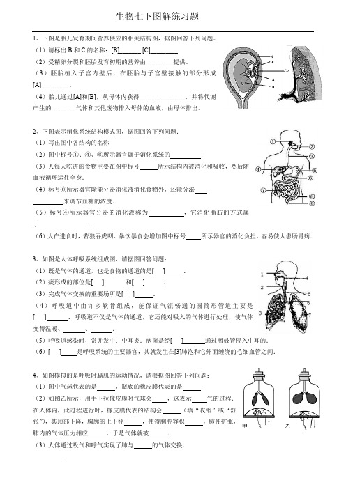 2017年七年级下册生物图形题复习 -