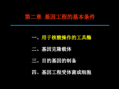 第二章-1 用于核酸操作的工具酶-9.8