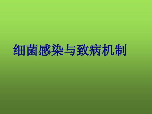 医学微生物学PPT课件 细菌感染与免疫 细菌感染与致病机制