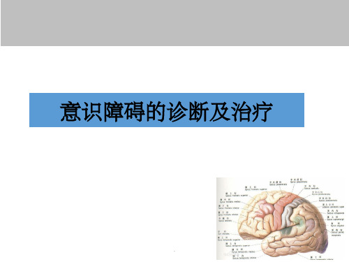 意识障碍诊断及治疗ppt课件