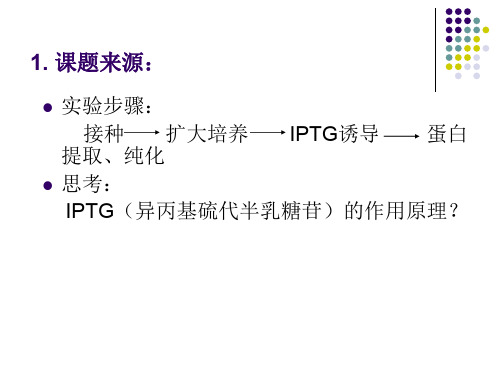 IPTG诱导的外源蛋白表达专题培训课件