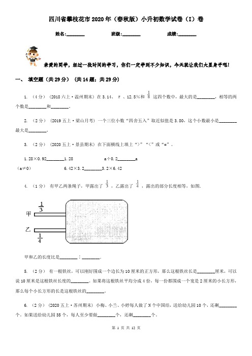 四川省攀枝花市2020年(春秋版)小升初数学试卷(I)卷