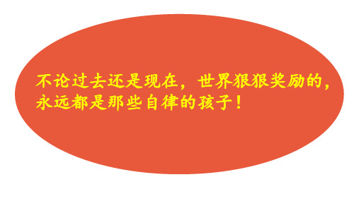 人教版九年级道德和法治下册 第二单元  世界舞台上的中国  复习课件(15张ppt)