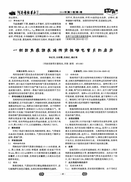 一例因免疫诱发鸡传染性喉气管炎的启示