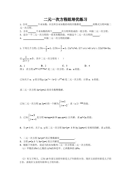 二元一次方程组培优练习