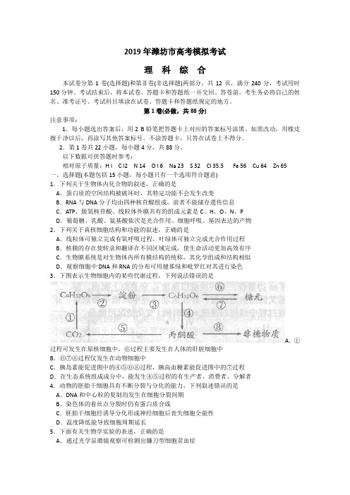 山东省潍坊市2019届高三一模(理综)