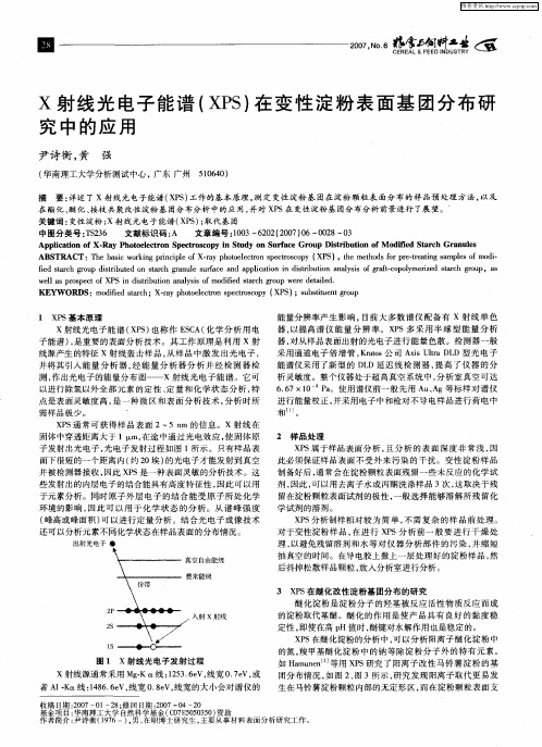 X射线光电子能谱(XPS)在变性淀粉表面基团分布研究中的应用