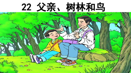 人教部编版三年级《父亲、树林和鸟》PPT优秀课件1