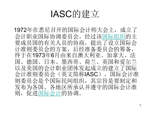 IAS简介(国际会计准则)