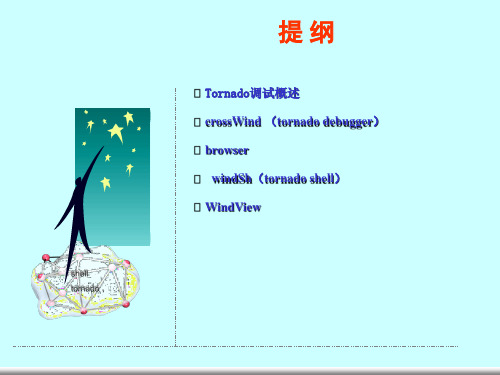 tornado调试技巧PPT课件