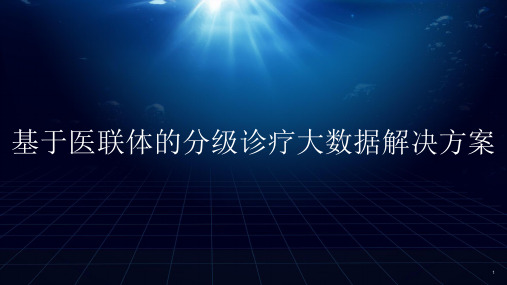 基于医联体的分级诊疗大数据解决方案(智慧医疗)