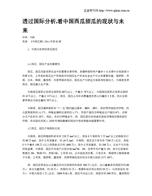 透过国际分析,看中国西瓜甜瓜的现状与未来