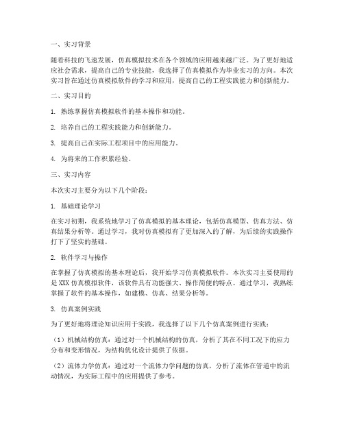 仿真模拟毕业实习报告