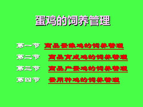 蛋鸡的饲养管理.ppt