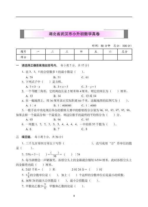 湖北省武汉市小升初数学真卷【精选】.pdf