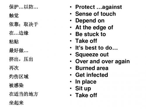 高二英语first-aid-languagne-